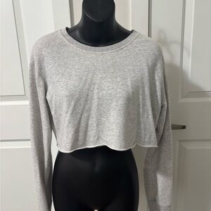 $5 ADD ON Garage Light Gray Long Sleeve Cropped Top